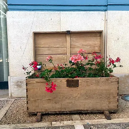 Szálloda Patilla Ciudad De 3*